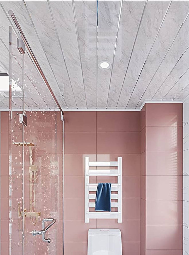 Ceiling Panels