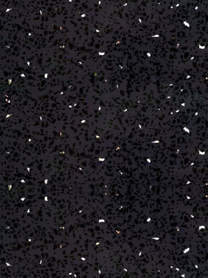 9.5mm Black Sparkle (Gloss) Classic Ceiling Panel