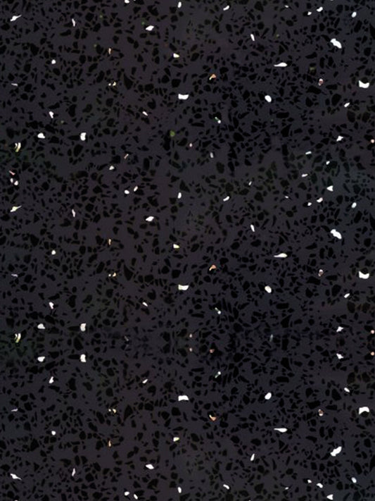 9.5mm Black Sparkle (Gloss) Classic Ceiling Panel