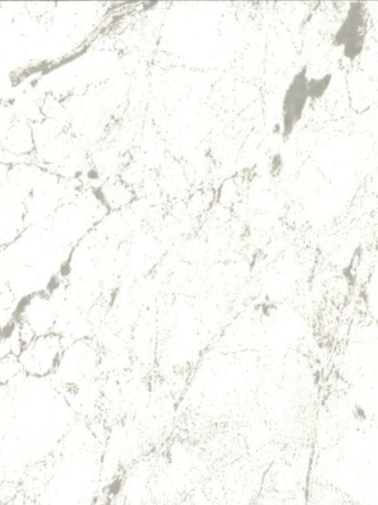 10mm Calcutta (Gloss) Classic PVC Panel