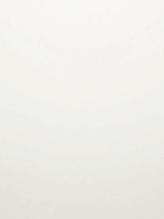 9.5mm Flat White (Gloss) Classic Ceiling Panel