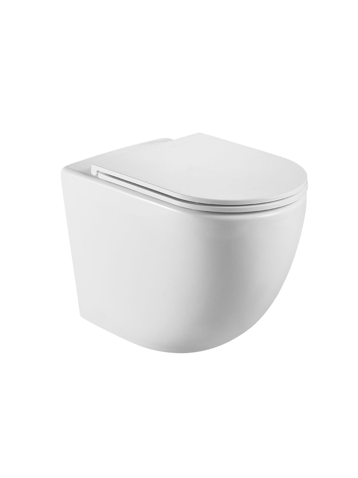 Branch Back To Wall Pan Including Soft Close Seat