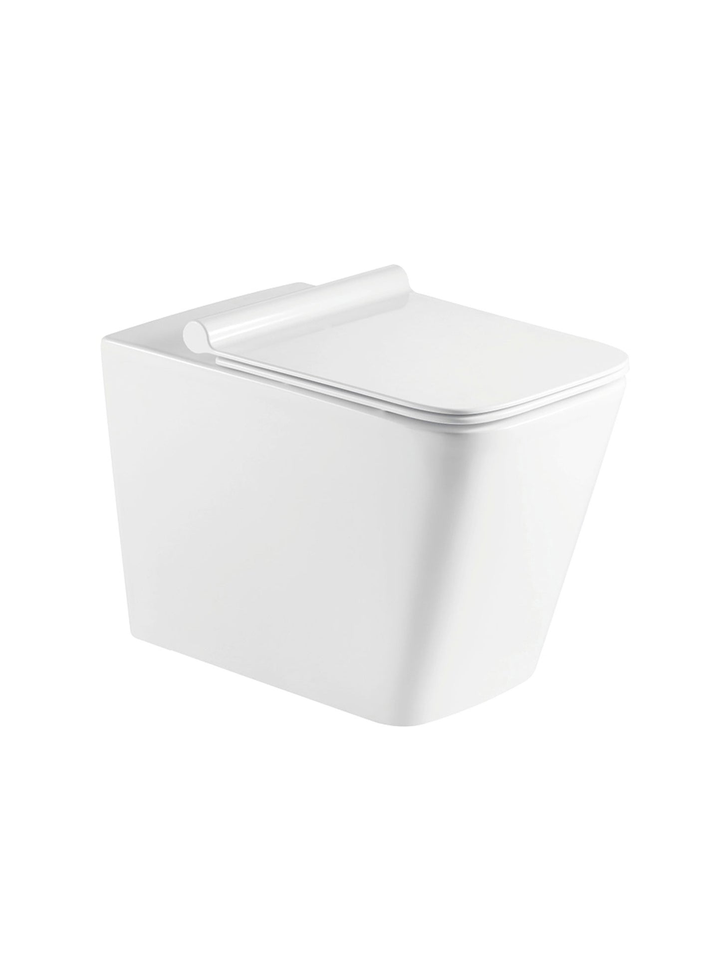Luna Back To Wall Pan Including Soft Close Seat