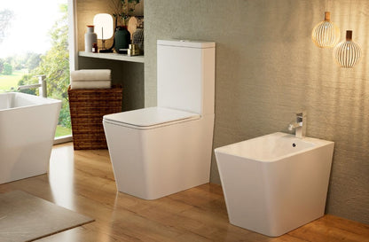Luna Back To Wall Pan Including Soft Close Seat