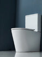 White toilet against a dark blue wall